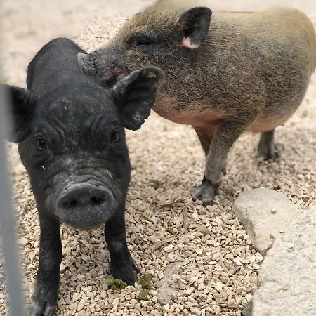 Casa Da Milheira - Отель типа 