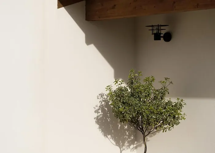 Casa Da Milheira - Bed & Breakfast Oliveira de Azemeis