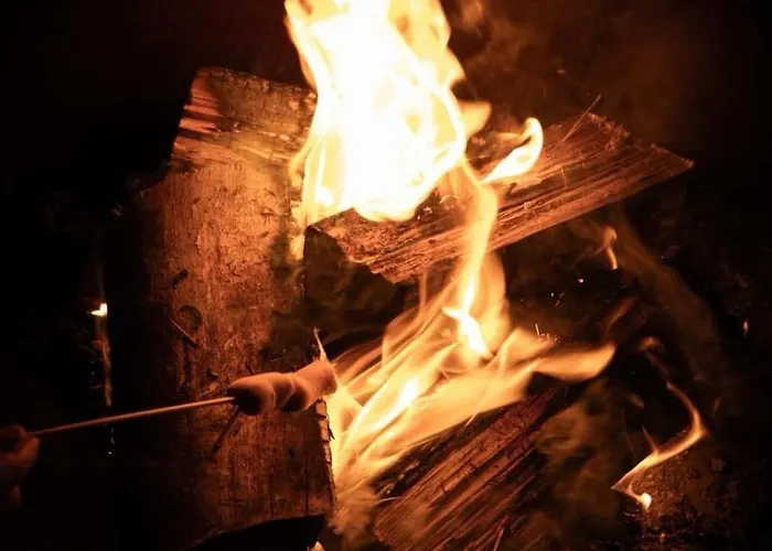 Casa Da Milheira - Bed & Breakfast Oliveira de Azemeis